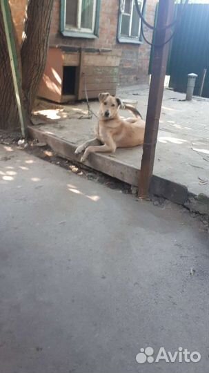 Охрана
