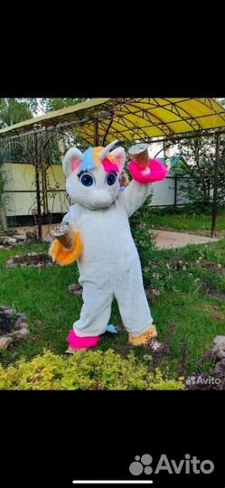 Выписка из Роддома, Ростовые куклы, Аниматоры