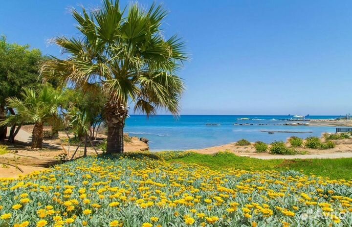 Эксклюзив-тур на о. Кипр от 7 ночей