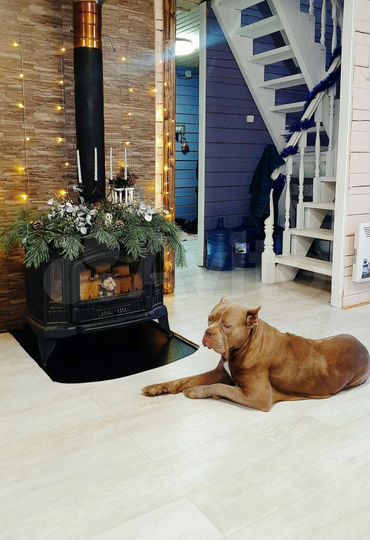 Дом 150 м² на участке 10,5 сот.