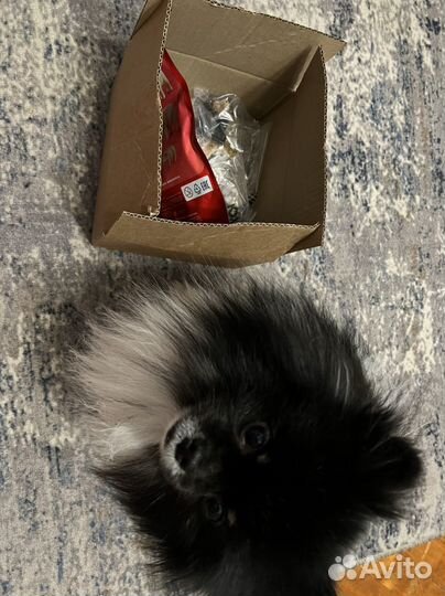 Konik фигурки