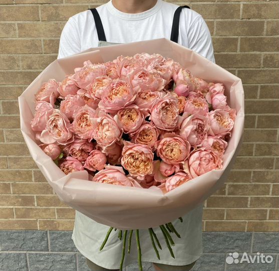 Розы Пиновыдные Кустовые розы