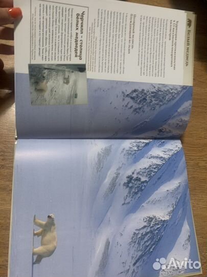 Энциклопедии о животных