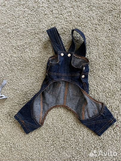 Джинсовый костюм для собак