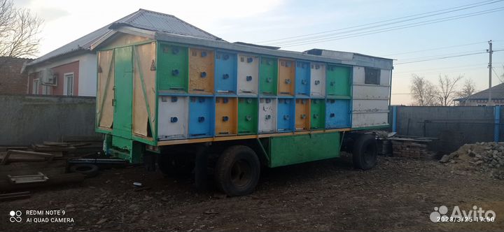 Пчелы и улья