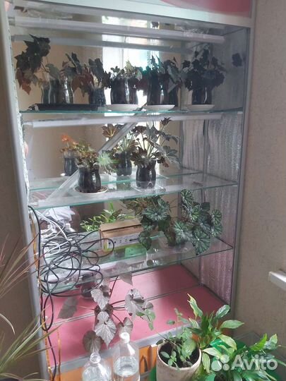 Витринная полка