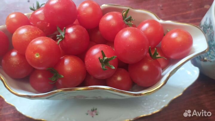 Томаты, помидоры на окно, комнатные 25 см Семена