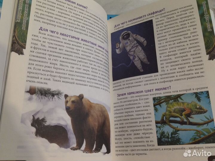 Энциклопедия серии 