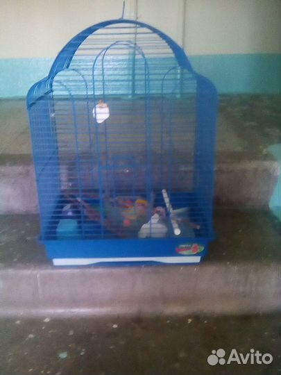 Клетка для птиц