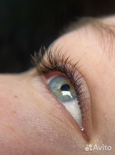 Обучение Наращивание ресниц /ламинирование ресниц