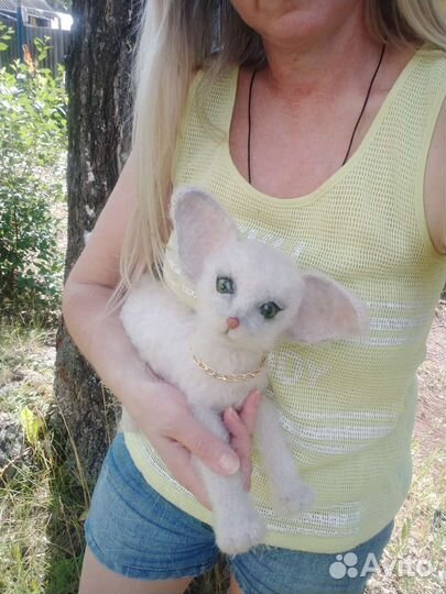 Котенок сфинкса браш