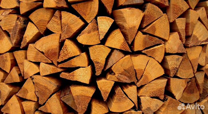 Дрова свежие