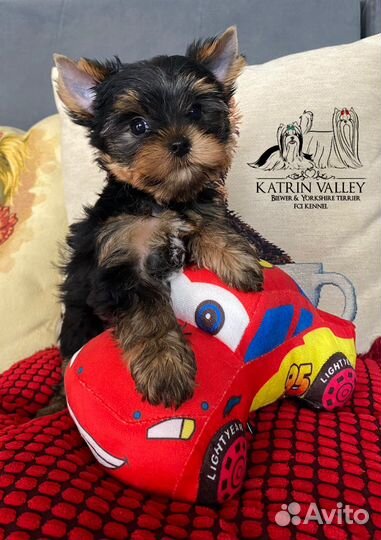 Мальчишечка