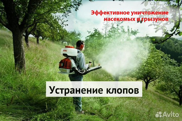 Уничтожение клопов тараканов грызунов грибка плесе