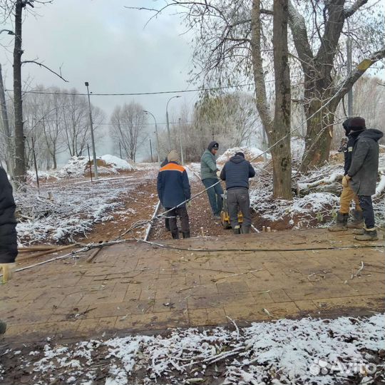 Рабочие