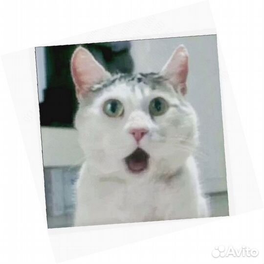 Сборщик Работа на складе Выплаты еженедельно