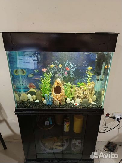 Обслуживание аквариумов