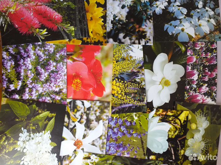 Набор открыток