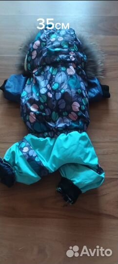 Костюмы для маленьких собак