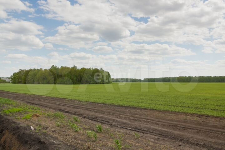 Участок 9,5 сот. (СНТ, ДНП)