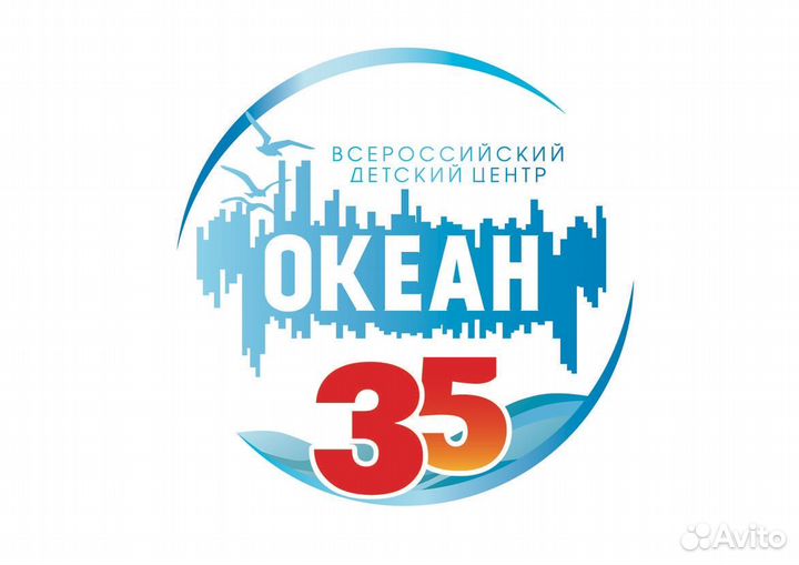 Футболка вдц 