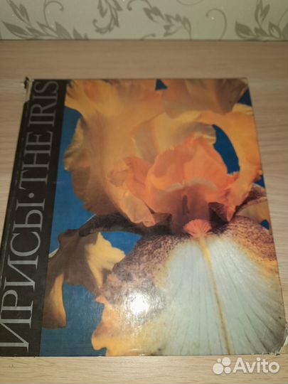 Хобби и отдых