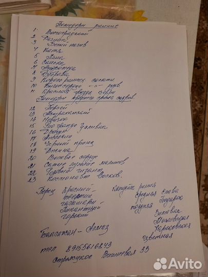 Рассада помидор 23 сорта,перец, и Т.Д