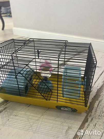 Клетка для хомяков