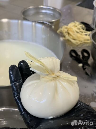 Технолог-сыровар