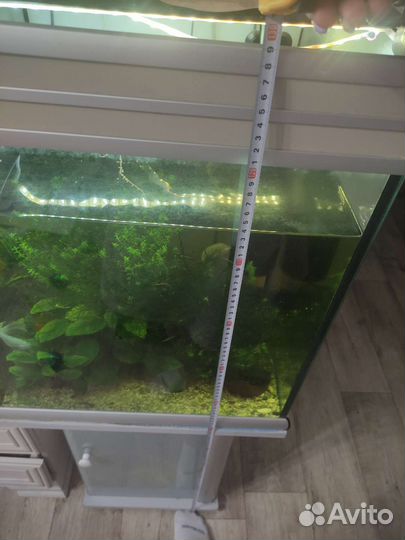 Аквариум с тумбой