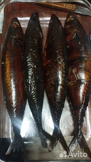 Скумбрия горячего копчения