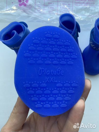 Одежда и аксессуары для собак