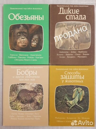Книги Удивительный мир диких животных