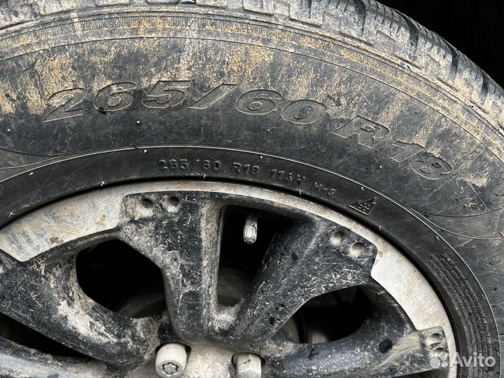 Pirelli Scorpion Winter 265/60 R18