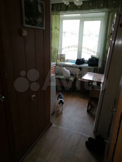 1-к. квартира, 24,2 м², 2/5 эт.