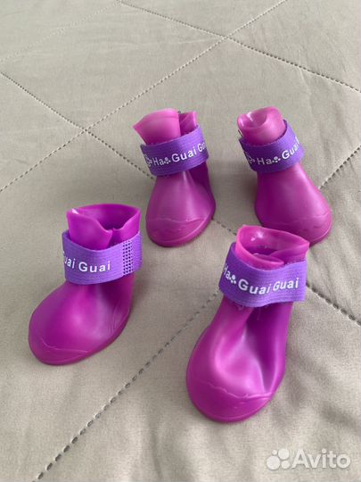 Обувь для собак