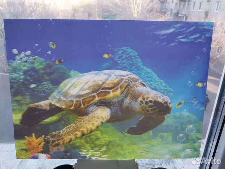 3d картина