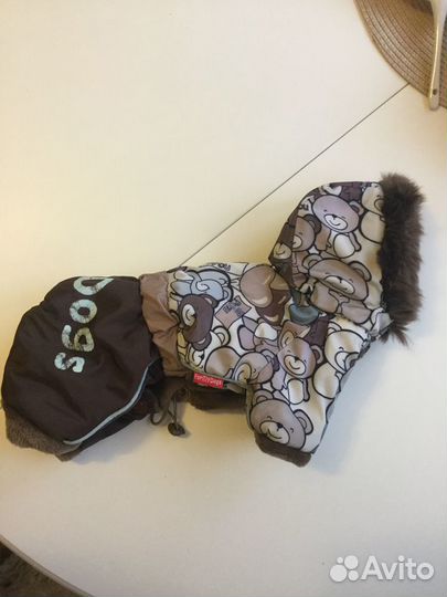 Зимний комбинезон for my dogs