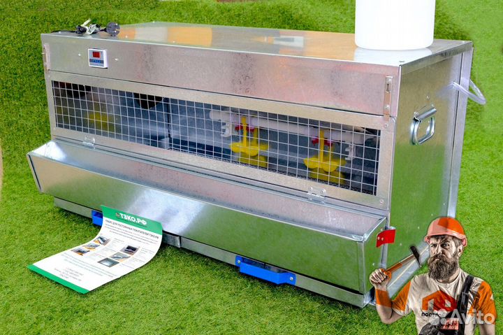 Брудер для цыплят (60 голов)