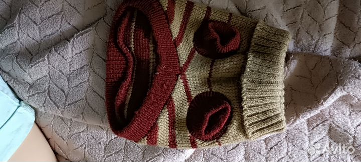 Вещи для собаки мелких пород