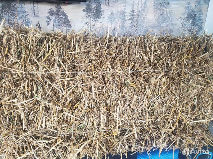 Солома в тюках