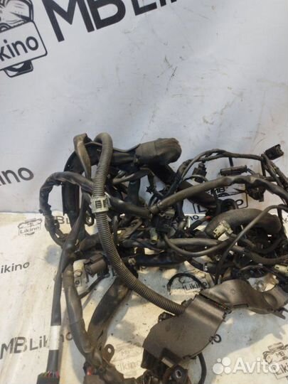 Проводка двигателя om642 Mercedes Ml W164