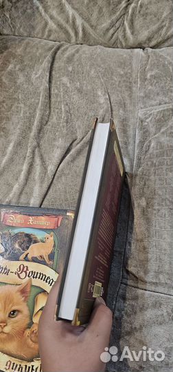 Коты воители книги