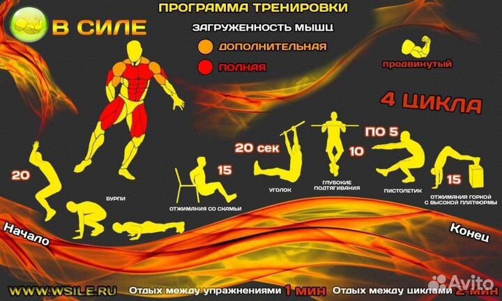 Составлю программу тренировок и питание