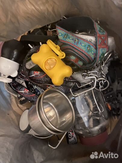 Амуниция и прочее для собак