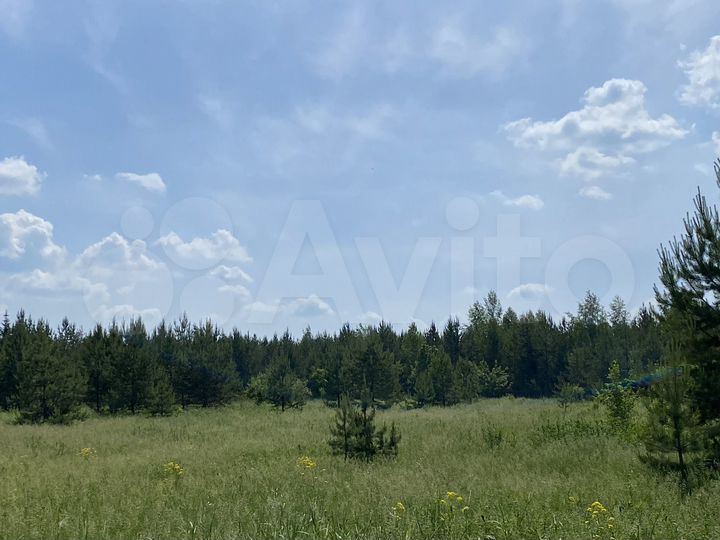 Участок 80 сот. (СНТ, ДНП)