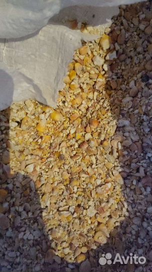 Драбленая кукуруза