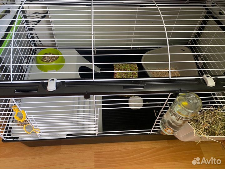 Клетка для кролика или морских свинок