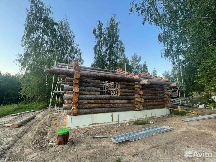 Дома и бани из полярной сосны Кело