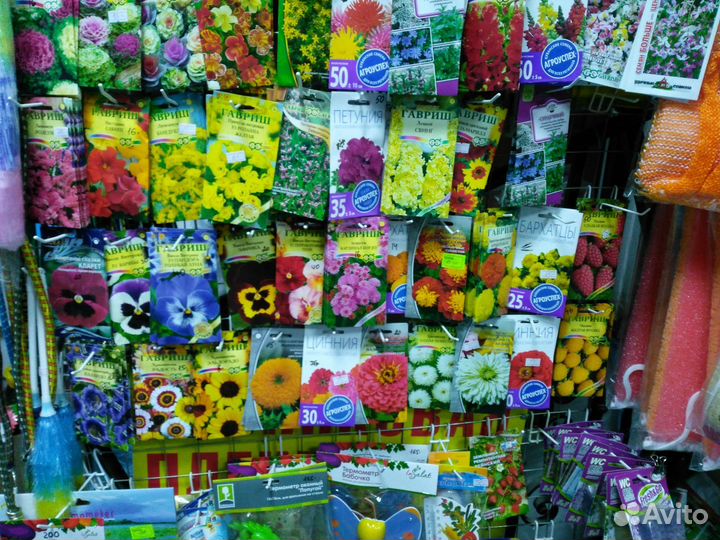 Семена цветов 